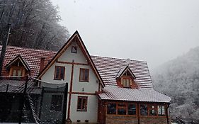 Staroplaninski Apartments